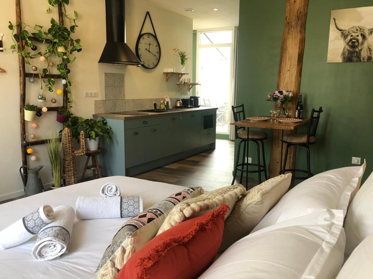 Appartement Centre-Ville Avec Terrasse Rustique Vannes Zewnętrze zdjęcie
